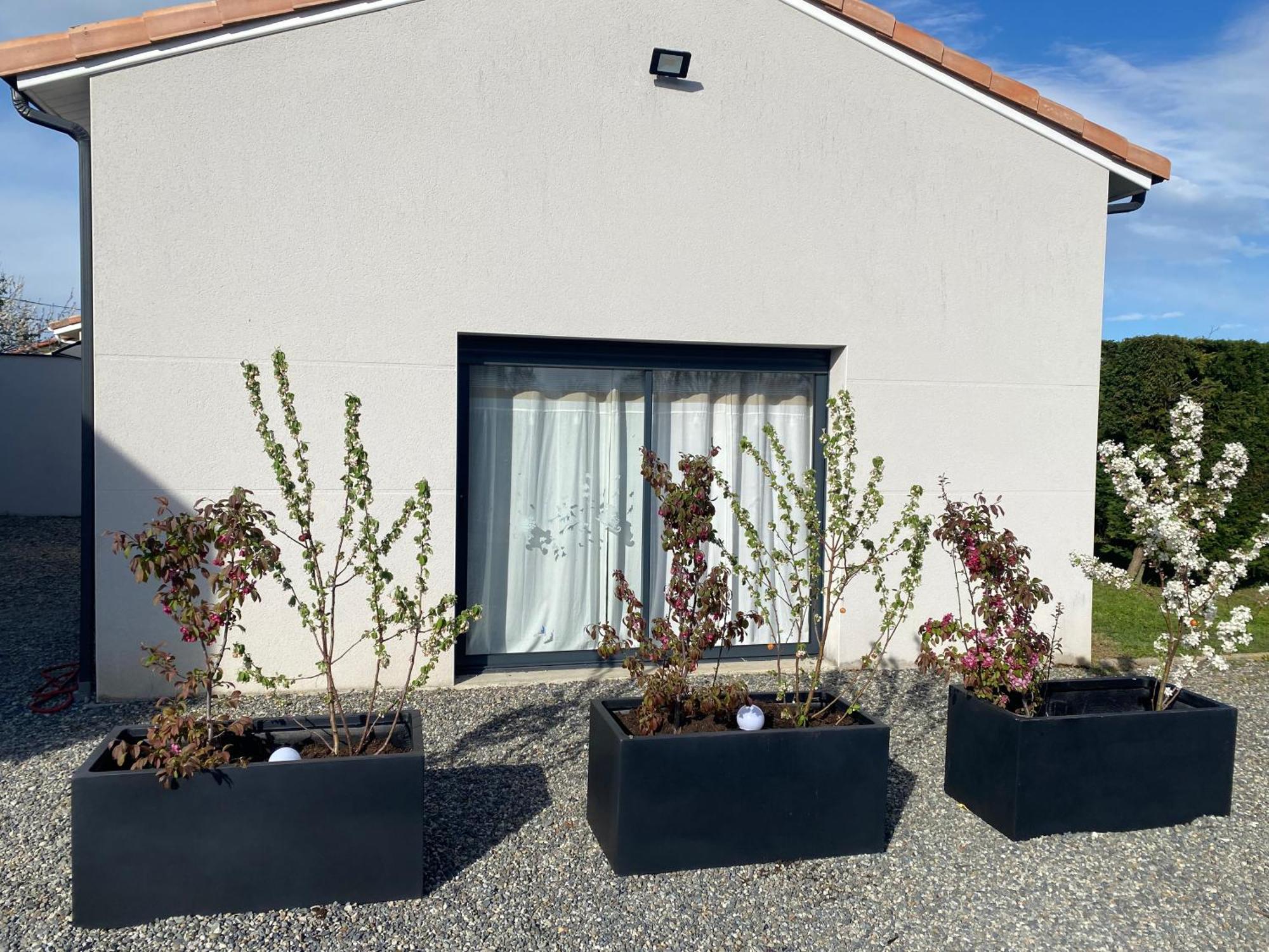 Maison Grand Independant Avec Jardin Et Piscine Communs *